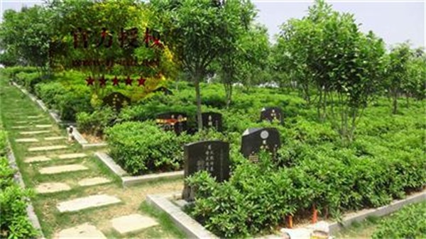  天津公墓营销公司(图)-植树葬多少钱-天津植树葬