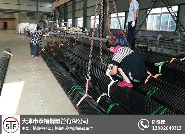 天津市泰福钢塑管(图)-大棚骨架多少钱-大棚骨架