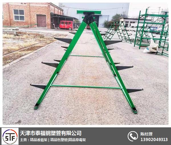 泰福钢塑管有限公司(图)-草莓立架厂家-北京草莓立架