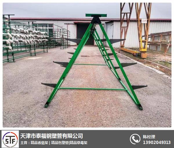 新型蘑菇架-天津市泰福钢塑管