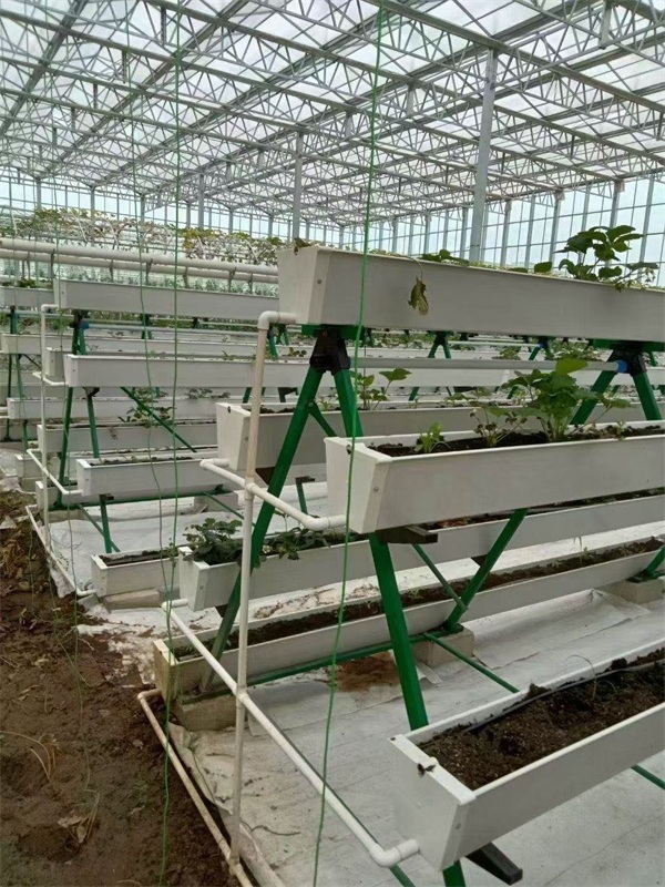 天津市泰福钢塑管(多图)-新型蘑菇架
