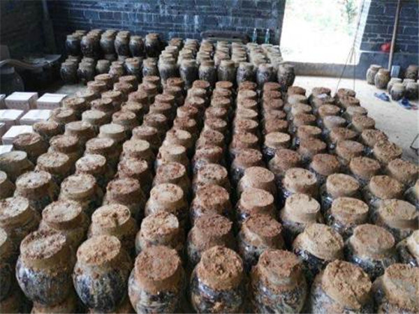 地道地窖酒就选客泉醇(图)-地窖酒批发厂家-惠州地窖酒批发
