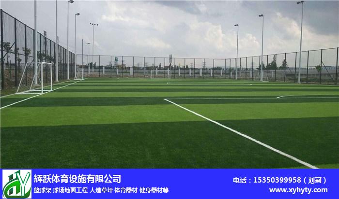 輝躍體育設施有限公司(圖),萍鄉市人造草坪,人造草坪