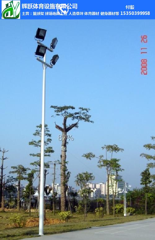 輝躍體育設施有限公司(圖)-宜春市球場燈柱-球場燈柱