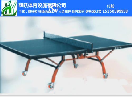 新余市乒乓球臺-乒乓球臺-輝躍體育設施有限公司(查看)