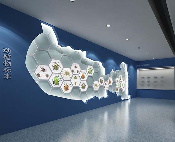 安徽奥美展览工程公司(图)-书画展厅设计-黄山展厅设计