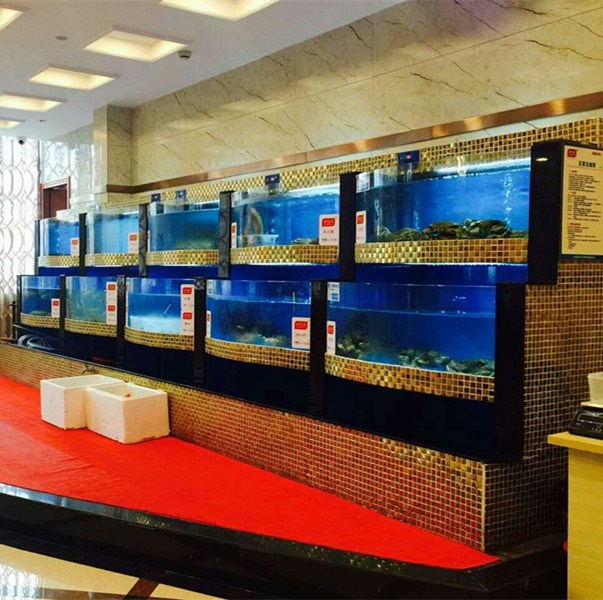 鱼缸订做-海南鱼缸-杭州搏鳌水族公司