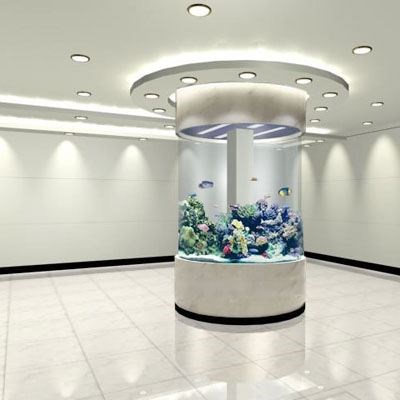 观赏鱼缸多少钱-搏鳌水族(在线咨询)-丽水观赏鱼缸