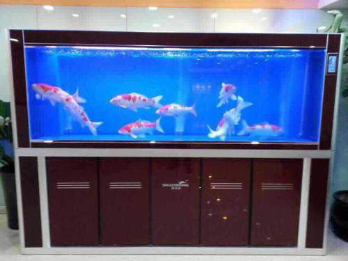 金华观赏鱼缸-杭州搏鳌水族公司-观赏鱼缸多少钱