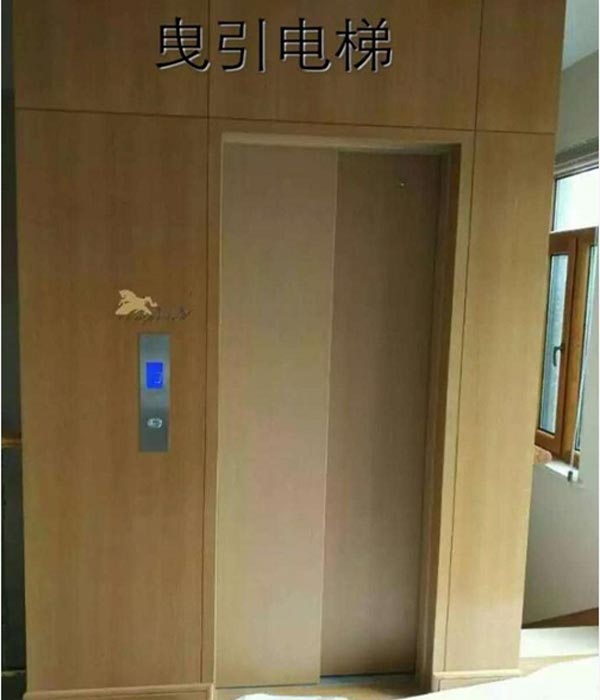 牡丹江家用电梯-金力机械(在线咨询)-家用电梯厂家