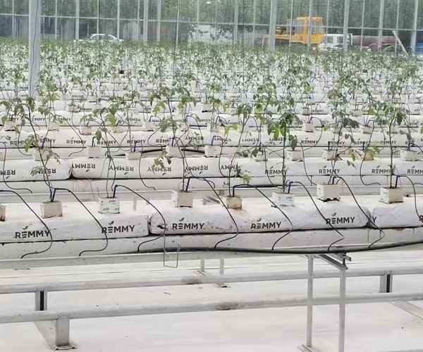天津花卉种植系统-泓稷科技-花卉种植系统哪家好