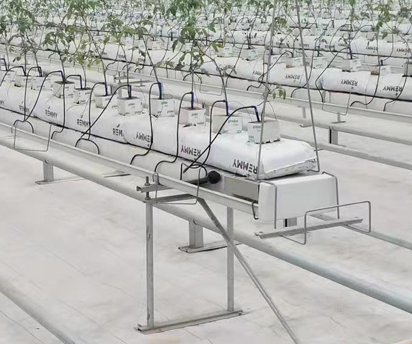 贵州支架式草莓种植系统-支架式草莓种植系统报价-北京泓稷科技