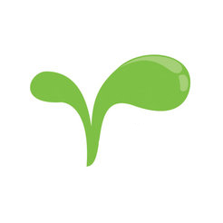 武汉花卉绿植租赁分享武汉绿植的养殖方法和注意事项