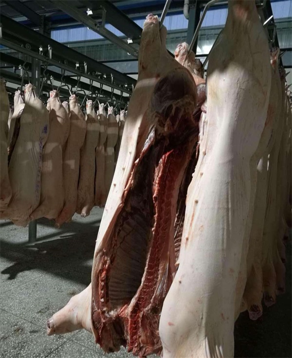 广华定点生猪屠宰场(图)-放心猪肉经销商-河西放心猪肉