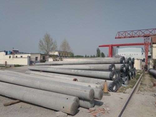 汶河水泥公司-15米非预应力水泥电线杆价格
