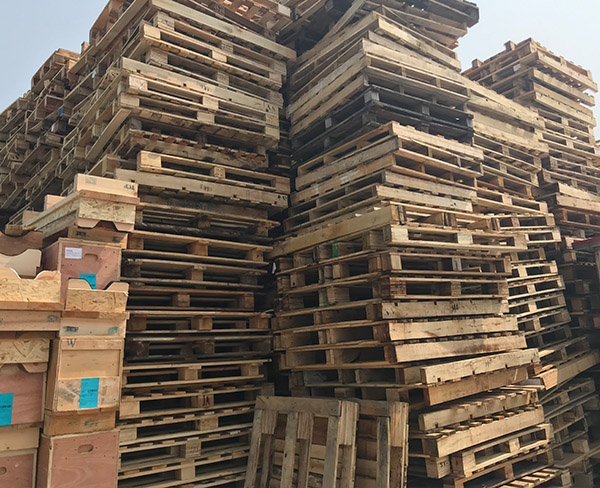 合肥木托盘回收-二手木托盘回收-上海都森木业回收