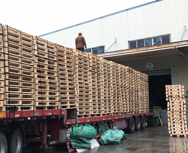 上海木托盘回收-上海都森木业回收公司-木托盘回收多少钱一个