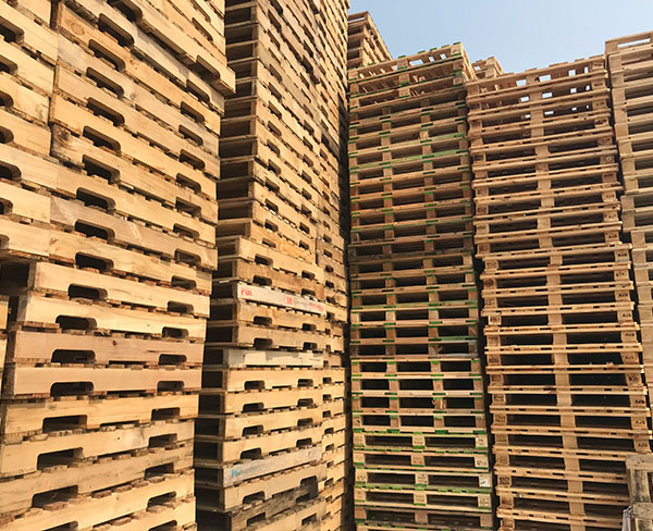 废木托盘回收-合肥木托盘回收-上海都森木业回收公司
