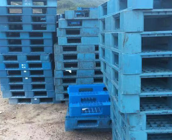 合肥塑料托盘回收-废旧塑料托盘回收-上海都森木业回收公司