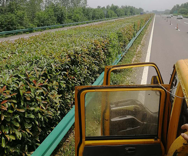 鄂州修剪车厂家-金力机械(在线咨询)-高速公路修剪车厂家