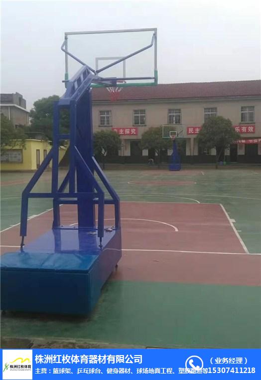 天元區籃球架配件-健身器材廠家紅枚體育-兒童籃球架配件零售