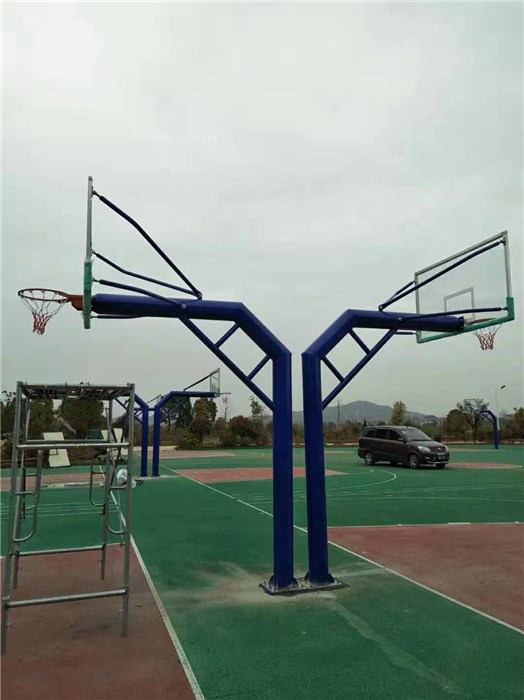 紅枚體育健身器材(圖)-籃球架球場圍網-益陽市籃球架