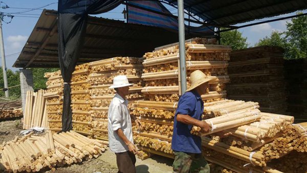 阜陽(yáng)綠化支撐桿-俊鵬木樁(在線咨詢)-杉木綠化支撐桿廠家