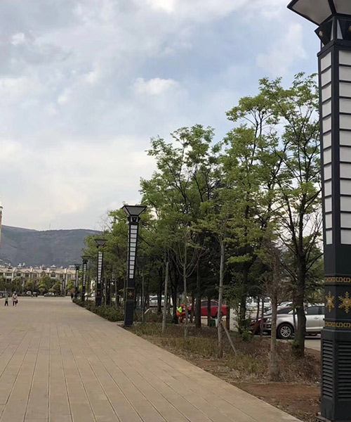 昆明公園景觀燈廠家-涼山公園景觀燈-批發景觀燈推薦華爾迪