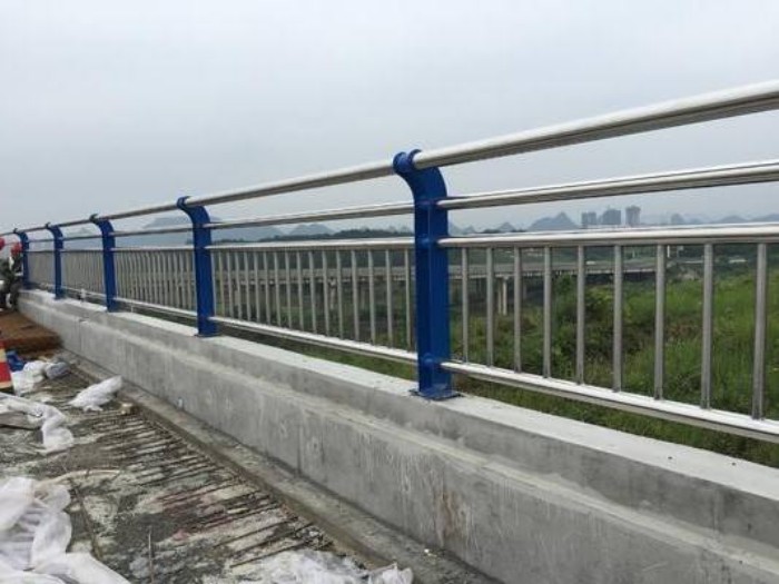 山东润达护栏厂(查看)-广安桥梁喷塑护栏