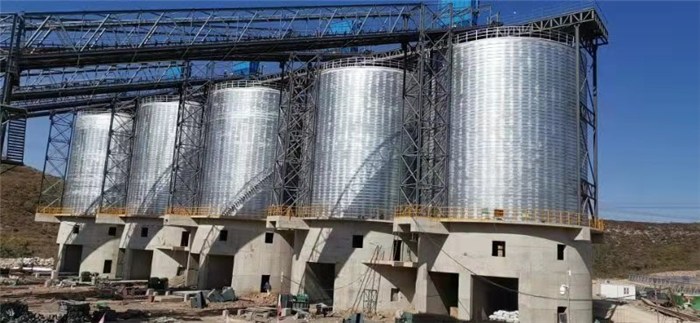 安阳正泰龙钢结构工程-大型粮食钢板仓建设-大型粮食钢板仓