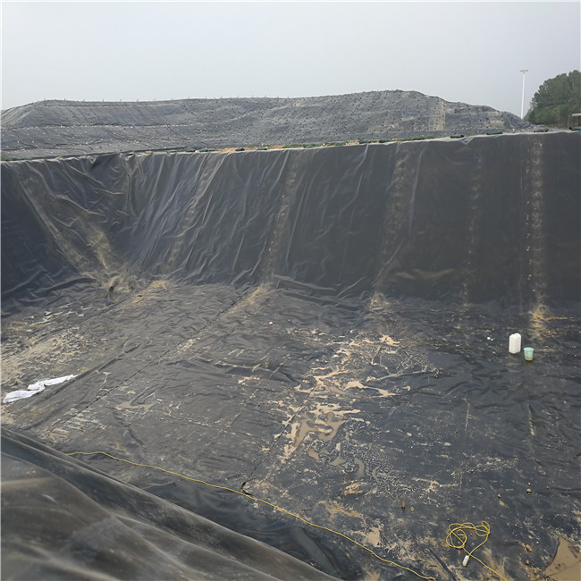 黃山土工膜-泰安沃特爾(誠信商家)-化工車間地面防滲土工膜