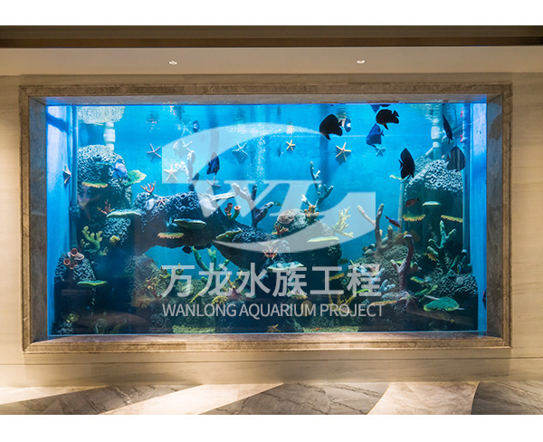 黄山大型鱼缸-杭州万龙鱼缸设计-大型鱼缸工程