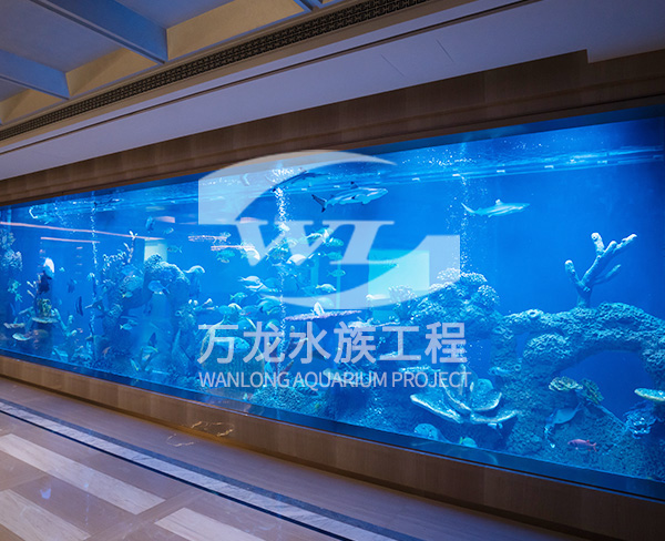 北京大型亚克力鱼缸-大型亚克力鱼缸公司-杭州万龙鱼缸定做