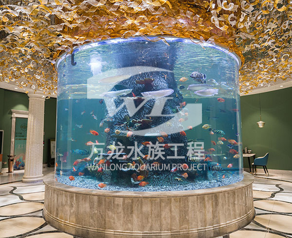 阜阳大型观赏鱼缸-大型观赏鱼缸价格-杭州万龙鱼缸制作
