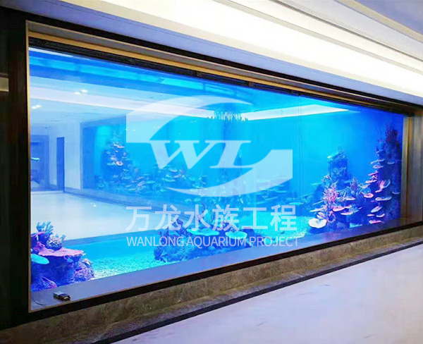 家庭鱼缸-杭州万龙鱼缸工程-家庭鱼缸公司