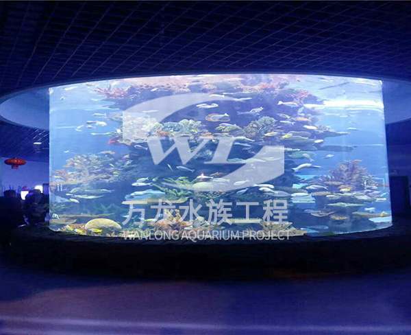 西宁家庭鱼缸-杭州万龙鱼缸设计-家庭鱼缸施工
