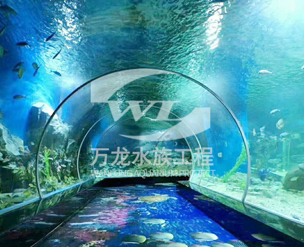 青海鱼缸租赁-鱼缸租赁哪家好-杭州万龙鱼缸制作(多图)