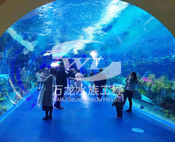 杭州万龙鱼缸工程-池州大型亚克力观赏鱼缸