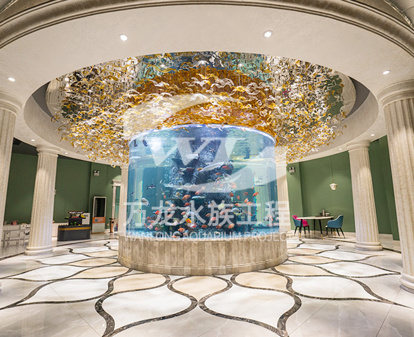 安庆美人鱼表演鱼缸-美人鱼表演鱼缸施工-杭州万龙鱼缸制作