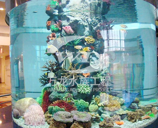 江西亚克力鱼缸-杭州万龙鱼缸设计-亚克力鱼缸价格