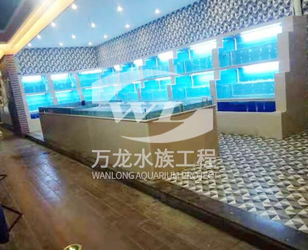 上海水处理系统-万龙鱼缸(推荐商家)-水处理系统多少钱