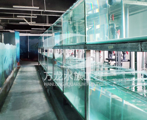 济南海鲜池-万龙鱼缸(在线咨询)-海鲜池制作