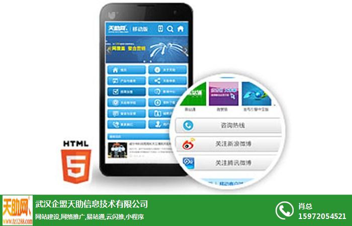 武汉网络推广公司-天助网