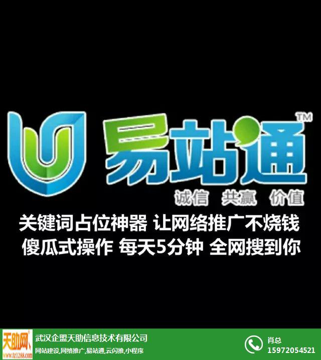 网络推广、武汉网络推广平台、企盟天助网络推广