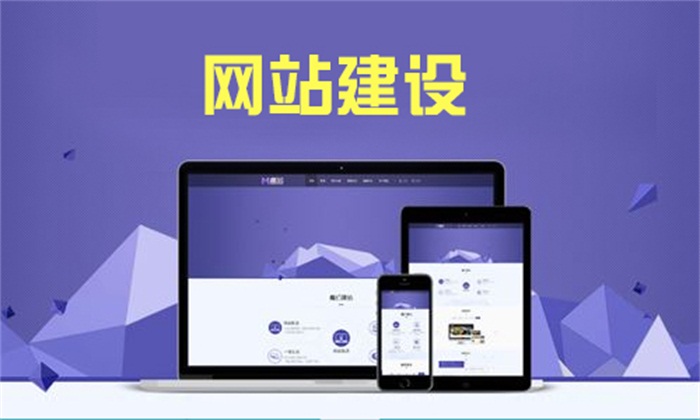 星际网络(图)-泰安企业网站搭建-泰安企业网站