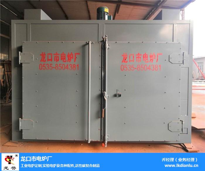 青海真空干燥箱-龙口市电炉厂质量放心-小型真空干燥箱