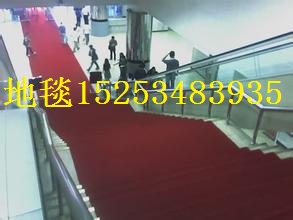 台州展览地毯_德州保美塑业(优质商家)_2米平面展览地毯