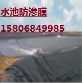 山东防渗膜厂家(图)、杭州藕池防渗膜、藕池防渗膜
