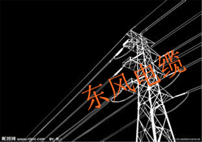 东风电缆(图)-电缆vv22-黄埔区vv电缆