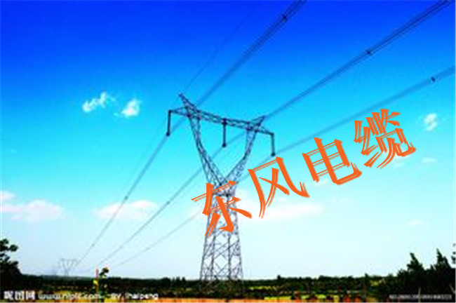 福州vv电缆-东风电缆(诚信商家)-单芯vv电缆